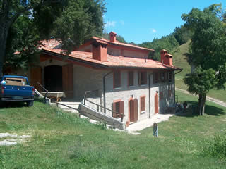 campei de sima